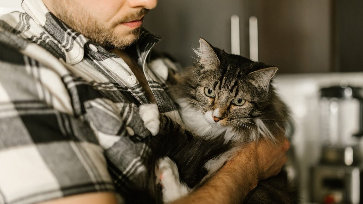 Hombre sosteniendo un gato en brazos - seguro de salud para gatos