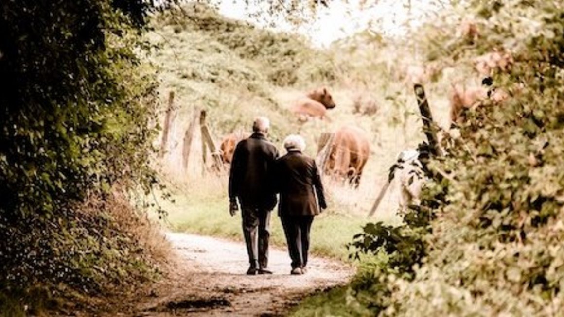 pension maxima y minima