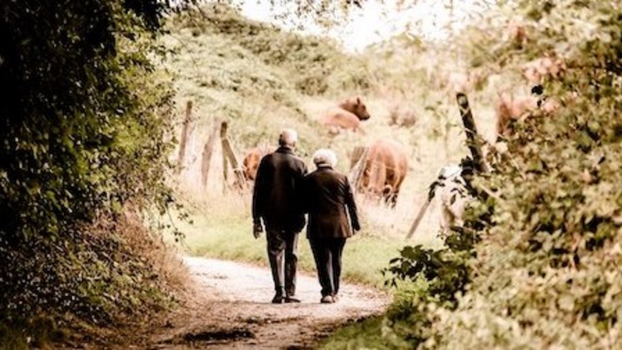 pension maxima y minima